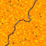 Fig.1a. AFM image, double stranded DNA on mica, Hi'Res-C14/Cr-Au AFM probe, 400x400nm, p.c. S.Magonov, Agilent