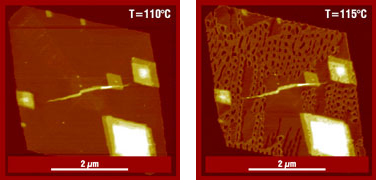 Fig.1. AFM height images, dry single PE crystals @110°C and annealed @115°C, p.c. D.Ivanov, et al.