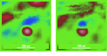 Lift mode topography/magnetic images, Co mono domain particle, HQ:NSC36/Co-Cr/Al BS AFM probe, p.c. Prof.Shevyakov, MIET