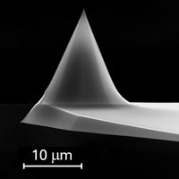 Fig.2b. AFM probe with conventional silicon AFM tip