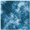 AFM topography, PS latex spherical molecules d=150nm, 3x3µm, p.c. S.Magonov