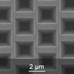 SEM image of the TGX surface structures.