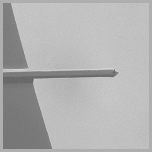 SEM image of rectangular silicon AFM cantilever and AFM probe.