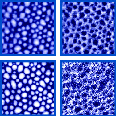 Tapping mode AFM height/phase, SEBS60 block-copolymer cryomicrotomed surface, p.c. Dr.S.Magonov, Digital Instr./Veeco Group