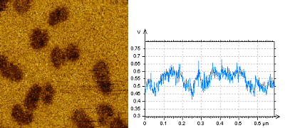 (d) dC/dz map and cross-section, DPE probe