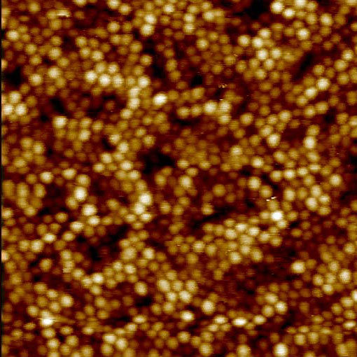 Film of carbosilane dendrimers spherical molecules d=9nm, 250x250nm, p.c. D.Ivanov