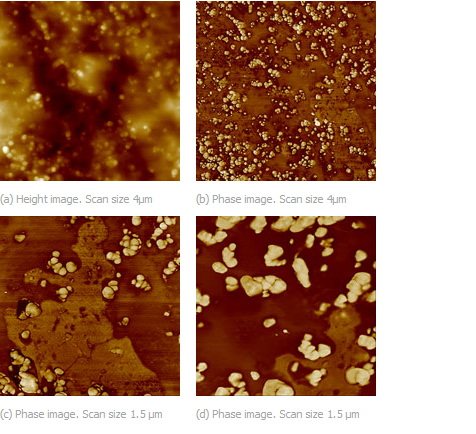 Fig.2. AFM height/phase (a/b) and phase (c,d) of smaller locations, technical rubber at high AFM tip-forces