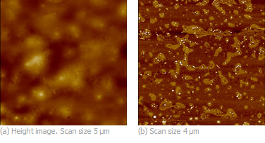 Fig.1. AFM height/phase images, impact modified rubber at high AFM tip-forces