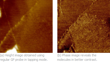 Fig.2. Tapping mode height/phase, single macromolecules of polymer with minidendritic groups, 320x320nm, p.c. S.Magonov