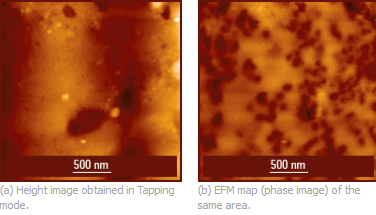 EFM height/phase, carbon black filled rubber-modified isotactic PP, HQ:NSC14/Pt AFM probe, p.c. S.Magonov