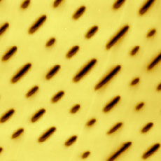 Fig.1a. AFM topography, DVD structures, 6x6µm, Z=120nm