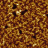 Fig.1d. AFM height image, thick film, Hi'Res-C AFM probe, 250x250nm, height 3nm, p.c. Dr.S.Magonov, Veeco Fig.1d. AFM height image, thick film, Hi'Res-C AFM probe, 250x250nm, height 3nm, p.c. Dr.S.Magonov, Veeco