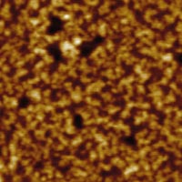 Fig.1d. AFM height image, thick film, Hi'Res-C AFM probe, 250x250nm, height 3nm, p.c. Dr.S.Magonov, Veeco