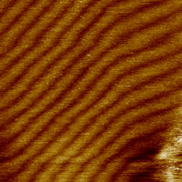 (c) Height image at high magnification (scan size 70 nm), Hi'Res-C AFM probe.