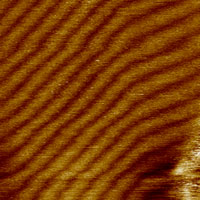 Fig.1c. AFM height image, thin film (high magnification), Hi'Res-C AFM probe, 70x70nm, p.c. Dr.S.Magonov, Veeco