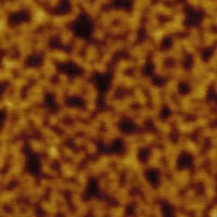 (e) Height image of the same thick film, conventional AFM probe. Scan size 250 nm. Height 3 nm.