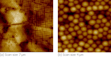 Fig 1. Height images of arrays of acrylic latex particles of 200 nm (a) and 500 nm (b) in diameter.