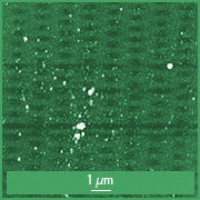 Height image obtained in Tapping mode. Height image obtained in Tapping mode.