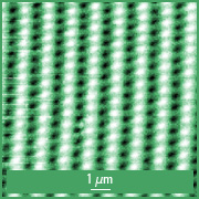 MFM map of the same area showing magnetic domain structure. MFM map of the same area showing magnetic domain structure.