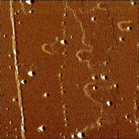 (b) Phase contrast of the same area, Hi'Res-C AFM probe. Z-scale is 30 °.