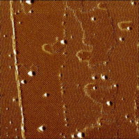 Fig.1b. Phase contrast, ultrathin film, Hi'Res-C AFM probe, 500x500nm, Z=30°, p.c. Dr.S.Magonov, Veeco Fig.1b. Phase contrast, ultrathin film, Hi'Res-C AFM probe, 500x500nm, Z=30°, p.c. Dr.S.Magonov, Veeco
