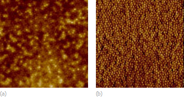 Fig. 1. Height (a) and phase (b) images of block copolymer (polystyrene-block-poly-4-vinylpyridine) film obtained in Tapping Mode using NSC16 probes (now upgraded to HQ:NSC16). Scan size 500 nm. Image courtesy of Dr. Sergei Magonov.