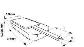Schematic drawing of the AFM probe chip.