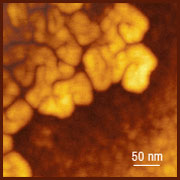 Tapping mode, semifluorinated alkanes self-assembled structures on Si, 350x350nm, height 5nm, p.c. S.Magonov, Agilent