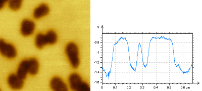 (d) Surface potential map and cross-section, DPE probe