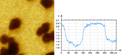 (c) Surface potential map and cross-section, Pt coated probe