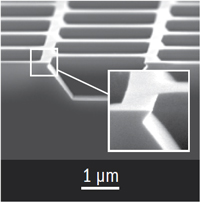 SEM image of a TGX grating