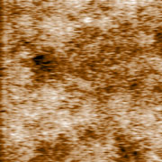 (a) Topography AFM image.