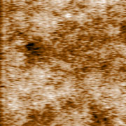 Fig.2a. AFM topography, 3.5'' ZIP disk, 50x50µm