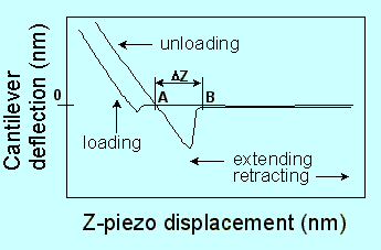 Fig. 4. Typical curves of tip deflection as a function of Z-piezo travel.
