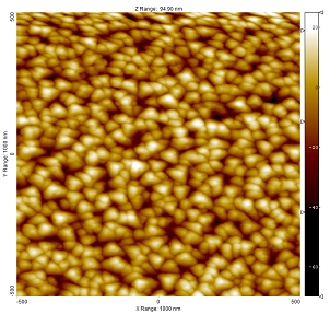 SEM image of the PA01 surface