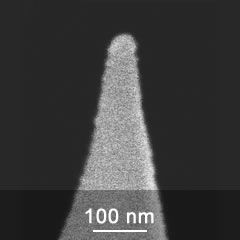 Co-Cr coated AFM tip close-up