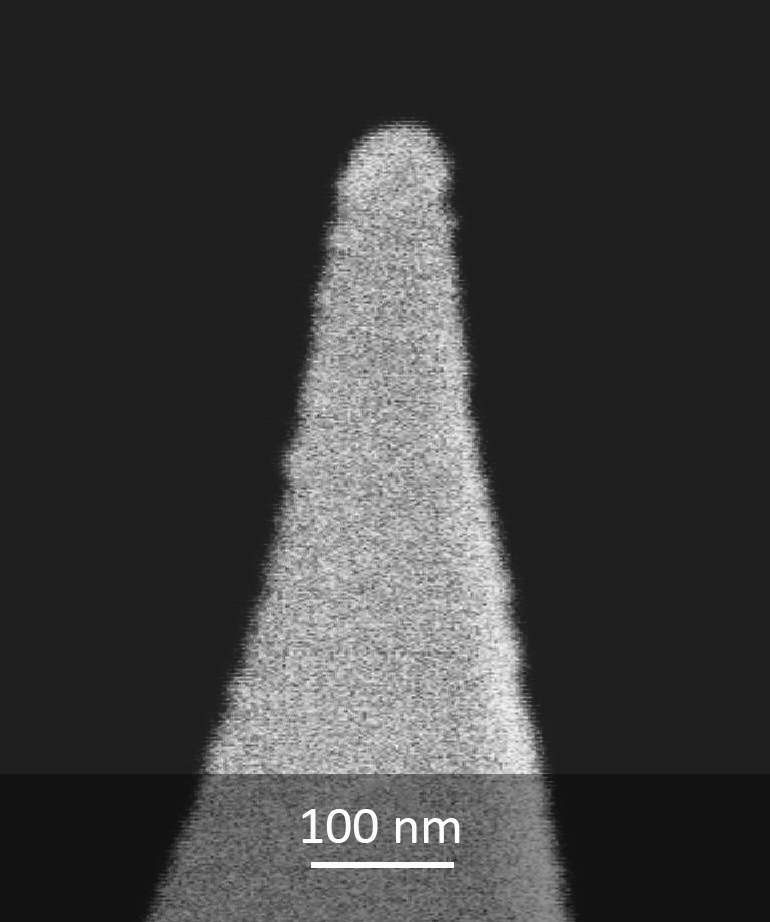 SEM image of MikroMasch DPE series AFM probe tip close-up
