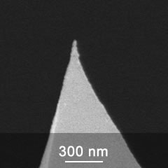 DPER AFM tip close-up