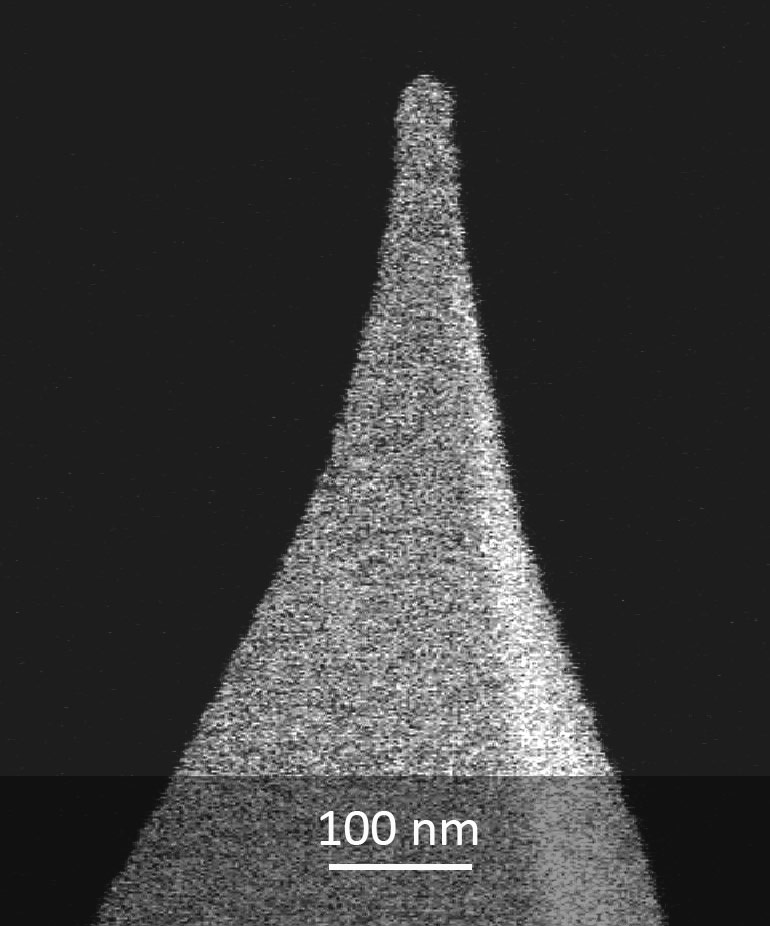 SEM image of gold coated MikroMasch AFM probe tip close-up