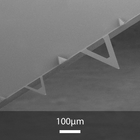 Silicon nitride XNC12 triangular AFM cantilevers