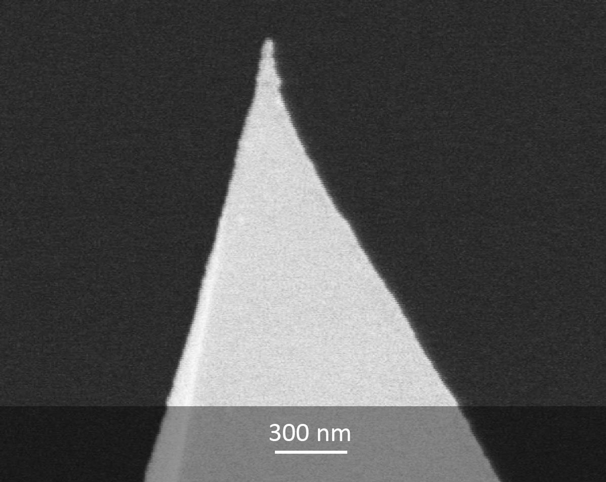 SEM image of MikroMasch DPER AFM probe tip close-up