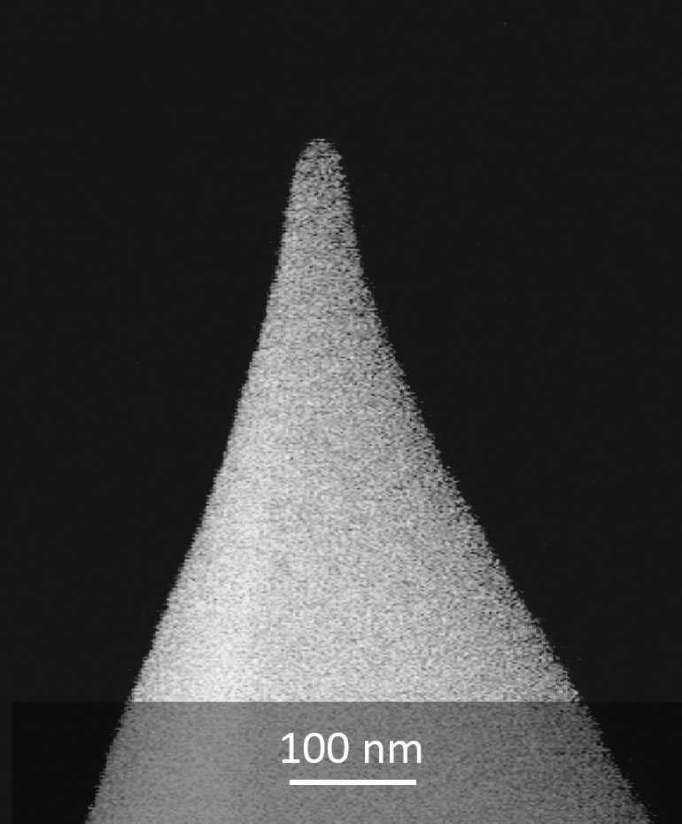SEM image of long scanning HARD series MikroMasch AFM probe tip close-up
