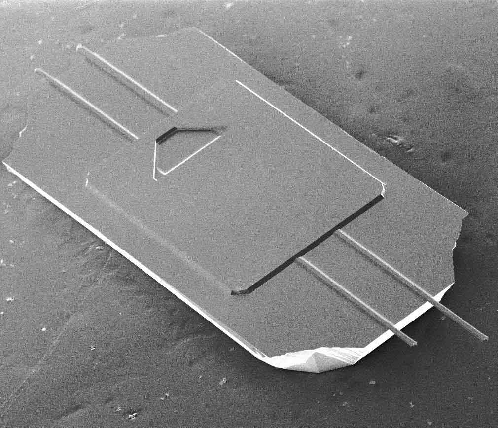 SEM image of AFM probe with four rectangular silicon AFM cantilevers.