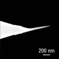 Fig.2c. AFM probe with EBD grown AFM tip