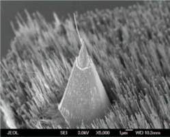 Fig.2e. AFM probe with Carbon Nanotube AFM tip (image used with permission of Dr. R. Schlaf)