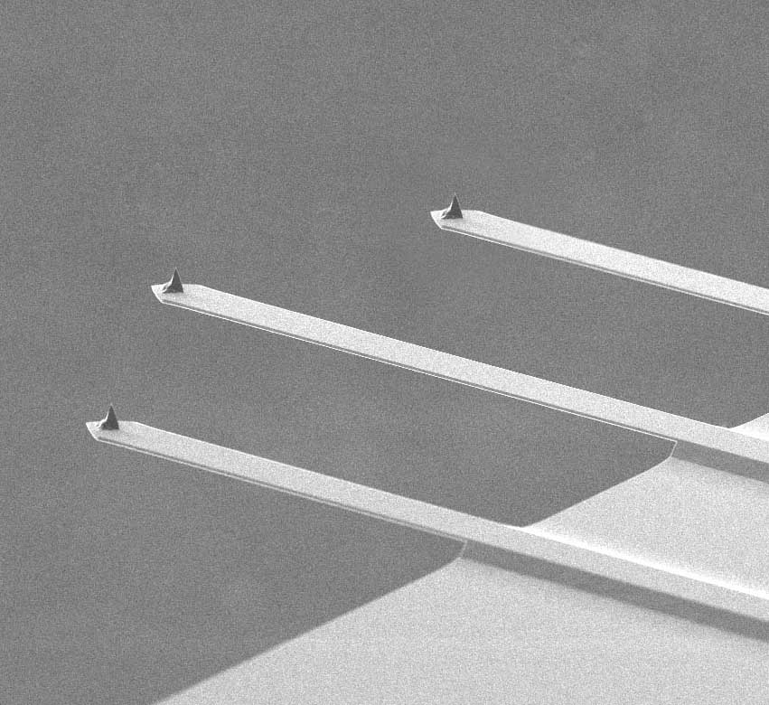 AFM cantilevers of MikroMasch AFM probe with 3 different contact mode cantilevers