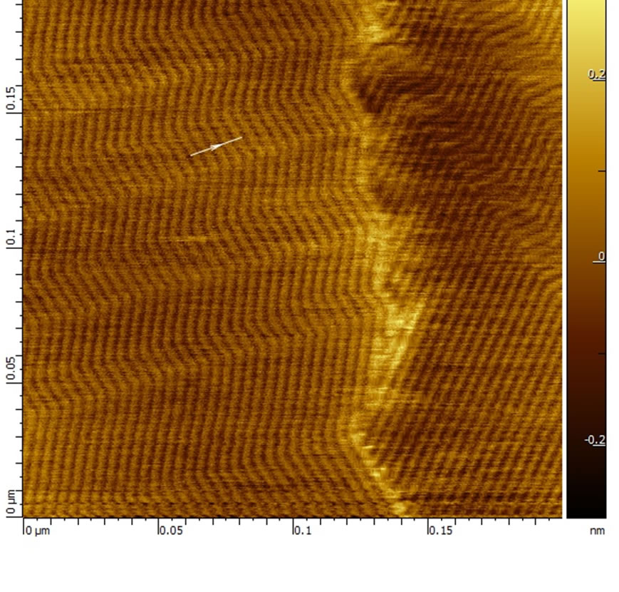 200nm topography scan of SAM of Palmityl Palmitate on HOPG. AFM Image obtained with MikroMasch® HQ:NSC14/Al BS AFM probe with closed loop in XY using Smart SPM ( AIST-NT Inc, Novato, CA). Image courtesy of Fedor Kraev, UC Davis