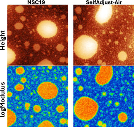 SEBS-BH 2 µm AFM Images - MikroMasch® NSC19 Series and SelfAdjust-Air AFM Probes