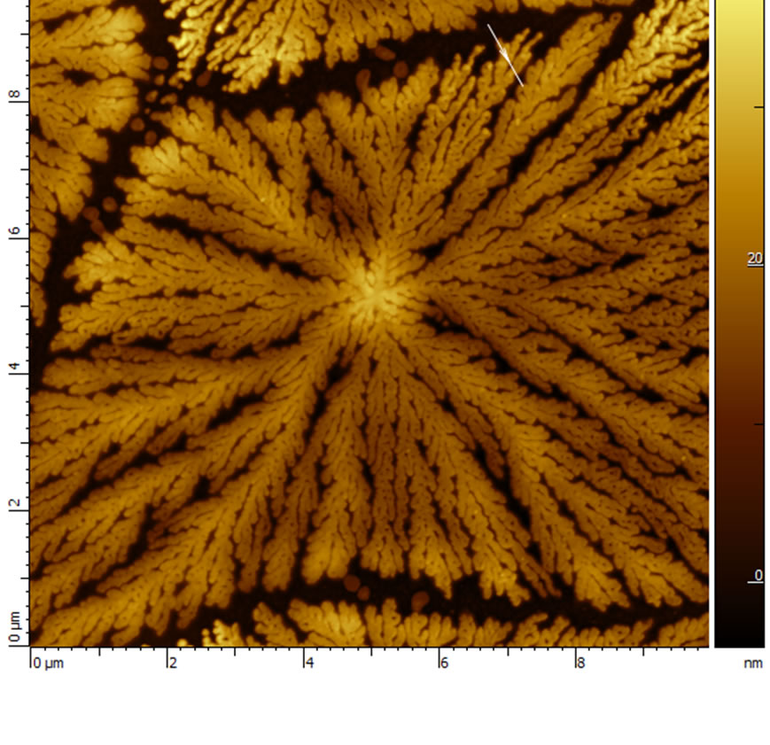 Polymer Spherulite on Mica. 10 µm topography scan. AFM Image obtained with MikroMasch® HQ:NSC14/Al BS AFM probe on Smart SPM ( AIST-NT Inc, Novato, CA). Image courtesy of Fedor Kraev, UC Davis